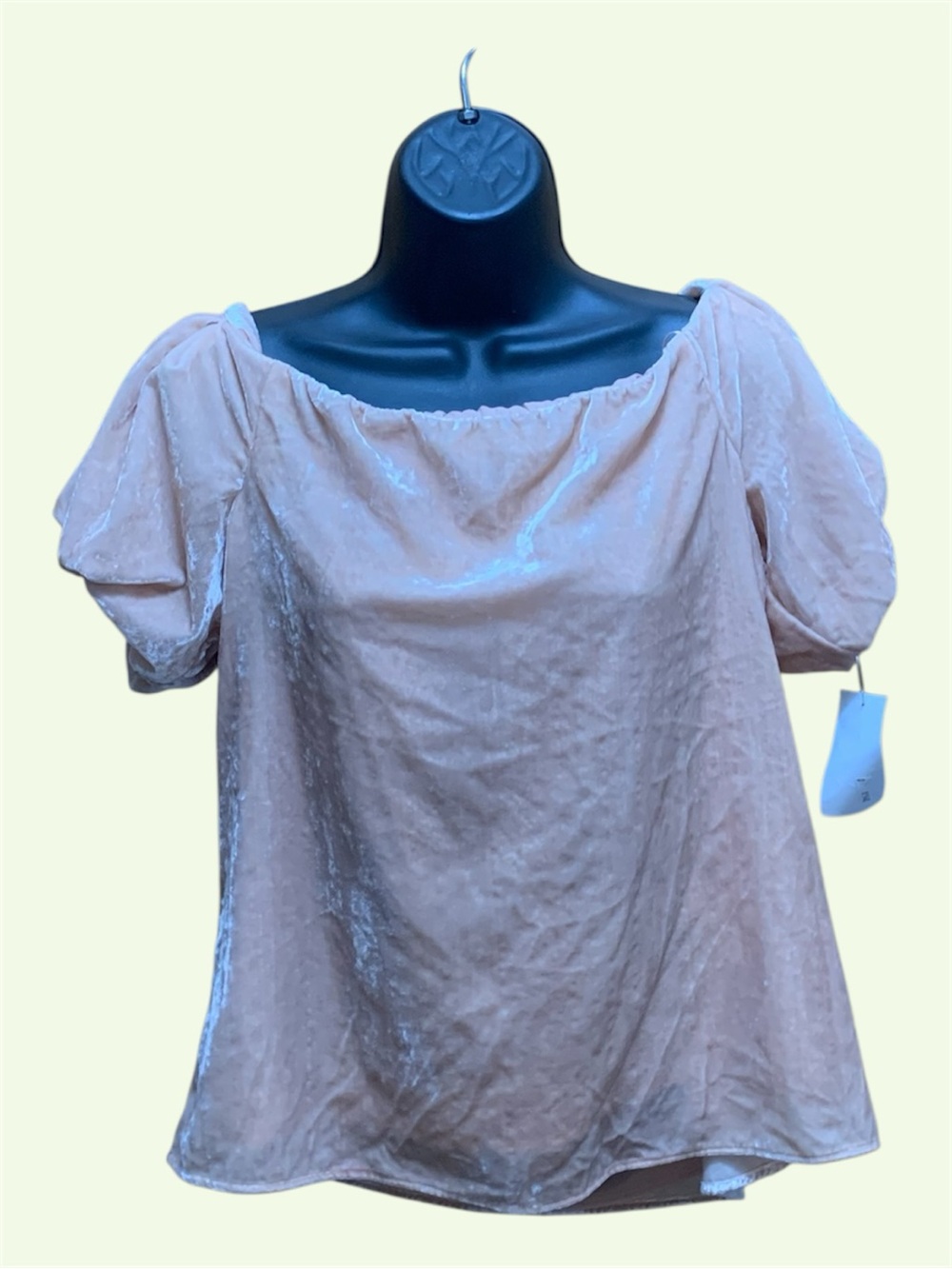 NWT WAYF Blush Pink Crushed Velvet Off The Shoulder Top Puff Sleeve Medium